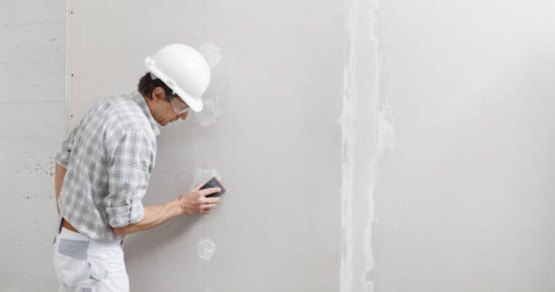 Best Drywall Patching  in Columbus, NM